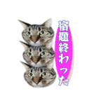 小さなお友達のスタンプ4（個別スタンプ：11）