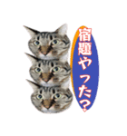 小さなお友達のスタンプ4（個別スタンプ：13）