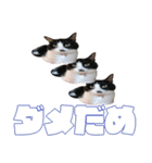 小さなお友達のスタンプ4（個別スタンプ：15）
