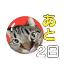小さなお友達のスタンプ4（個別スタンプ：21）