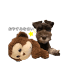 ショアのきもち①（個別スタンプ：10）