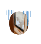 Ponzuくん（個別スタンプ：5）
