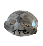 表情豊かな愛猫ちゃん（個別スタンプ：3）