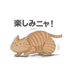 全12種 話すねこのスタンプ/茶とら猫（個別スタンプ：11）