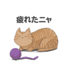 全12種 話すねこのスタンプ/茶とら猫（個別スタンプ：23）