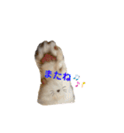 マンチカンのルアナとノア（個別スタンプ：40）
