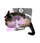 チビたんの日常        Chebetann's life（個別スタンプ：12）