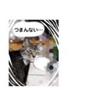 チビたんの日常        Chebetann's life（個別スタンプ：20）