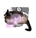 チビたんの日常        Chebetann's life（個別スタンプ：29）