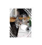 チビたんの日常        Chebetann's life（個別スタンプ：31）