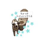 ダルメシアンのあずきちゃん（個別スタンプ：6）