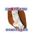 じんぶんこれくしょん その2（個別スタンプ：8）