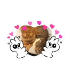 虎太郎♡虎羽（個別スタンプ：3）