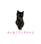 チョコ＆こはちゃん 3（個別スタンプ：7）