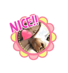 ケリーくんスタンプ（個別スタンプ：5）