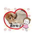 ケリーくんスタンプ（個別スタンプ：13）