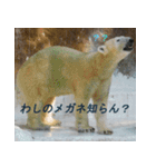 バカ可愛いケモノ（個別スタンプ：7）