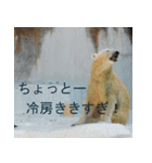 バカ可愛いケモノ（個別スタンプ：13）