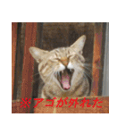 バカ可愛いケモノ（個別スタンプ：16）