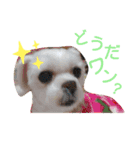 ワンの気持ち♪ 3（個別スタンプ：3）