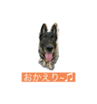 わんぱくサンドイッチ（個別スタンプ：2）