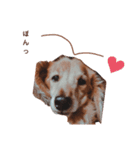 NEMO's STICKERS 2（個別スタンプ：2）