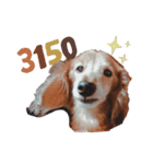 NEMO's STICKERS 2（個別スタンプ：5）
