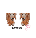 NEMO's STICKERS 2（個別スタンプ：13）