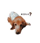 NEMO's STICKERS 2（個別スタンプ：14）