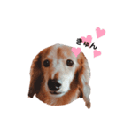 NEMO's STICKERS 2（個別スタンプ：16）