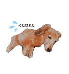 NEMO's STICKERS 2（個別スタンプ：24）