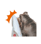 NEMO's STICKERS 2（個別スタンプ：28）