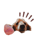 NEMO's STICKERS 2（個別スタンプ：39）