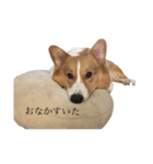 可愛いやまちゃんのスタンプ（個別スタンプ：15）