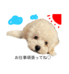 べ〜ちゃんスタンプ（個別スタンプ：4）