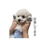 べ〜ちゃんスタンプ（個別スタンプ：5）
