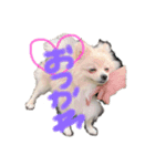 poteto1（個別スタンプ：3）