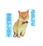トラジローの仕事モードスタンプ（個別スタンプ：1）