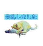 トラジローの仕事モードスタンプ（個別スタンプ：9）