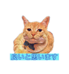 トラジローの仕事モードスタンプ（個別スタンプ：16）