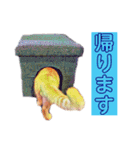 トラジローの仕事モードスタンプ（個別スタンプ：20）