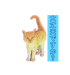 トラジローの仕事モードスタンプ（個別スタンプ：22）