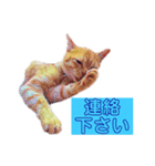 トラジローの仕事モードスタンプ（個別スタンプ：28）
