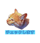 トラジローの仕事モードスタンプ（個別スタンプ：30）