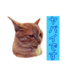 トラジローの仕事モードスタンプ（個別スタンプ：32）