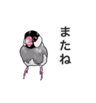 優しくして賢い文鳥（個別スタンプ：4）