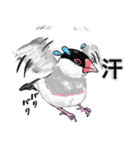 優しくして賢い文鳥（個別スタンプ：7）