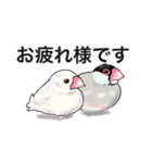 優しくして賢い文鳥（個別スタンプ：11）