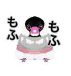 優しくして賢い文鳥（個別スタンプ：14）