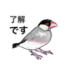 優しくして賢い文鳥（個別スタンプ：16）